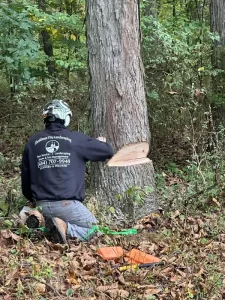 Christmas city landscaping and tree service